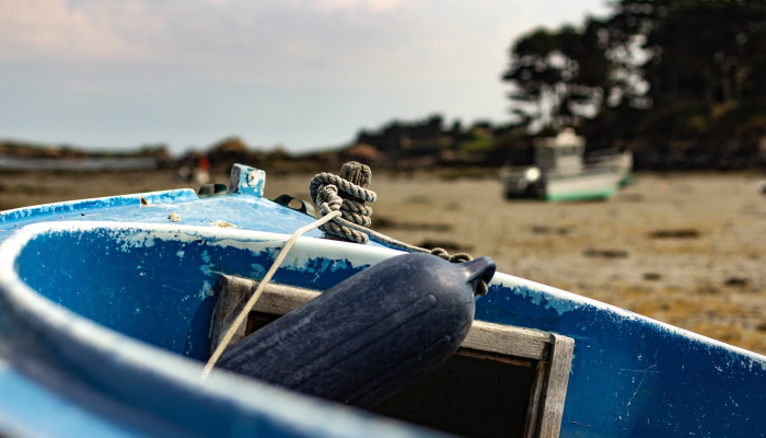 牟平最新疫情新闻：全面了解疫情动态与防疫措施