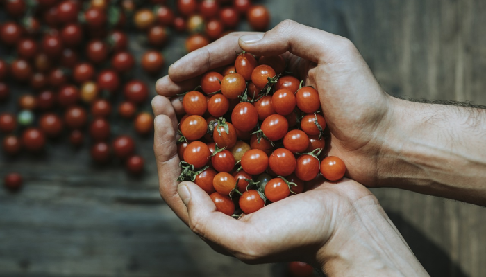 太原疫情最新通:最新动态与健康防护指南 太原疫情最新通:最新动态与健康防护指南