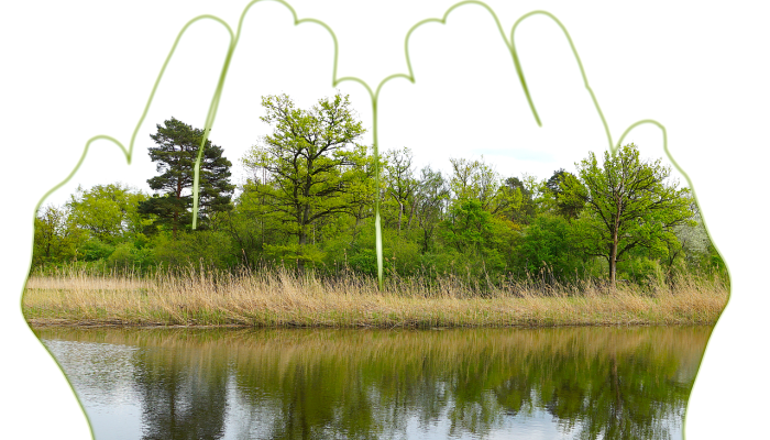 福建惠安最新消息疫情 福建惠安最新消息疫情