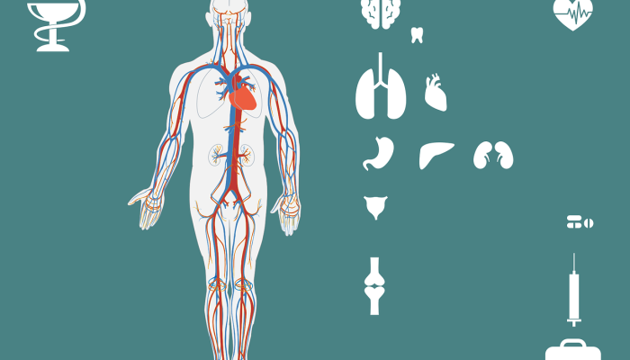 上海抗疫最新公布疫情:科技与人文共同守护健康新篇章 上海抗疫最新公布疫情:科技与人文共同守护健康新篇章