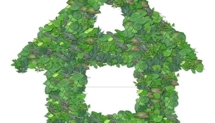 厦门西瓜最新疫情：最新动态、防护建议与健康生活方式