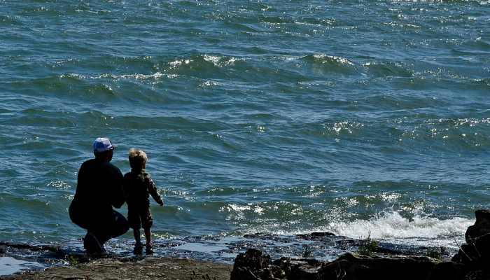 浠水疫情最新表：及时了解最新动态，保护健康安全