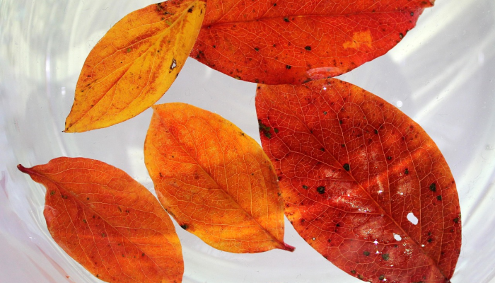 新军屯疫情最新：全面了解疫情动态与防护策略