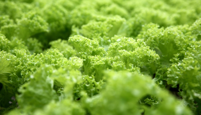 迪斯尼疫情最新通报：保护您的健康，我们在前线