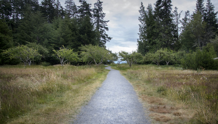 小径村最新疫情：从防控到复苏的全景视角