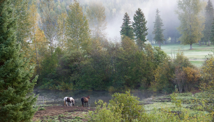 渠洋镇疫情最新消息：安全第一，共同守护健康