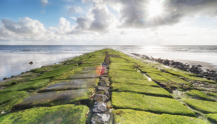 旬阳坝疫情最新:全面了解疫情动态与防护知识 旬阳坝疫情最新:全面了解疫情动态与防护知识