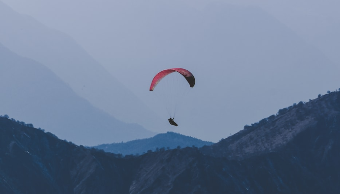 东营疫情最新消息高速：你关心的每一条动态