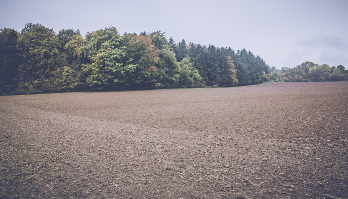 黄梅新村最新疫情消息:让您安心每一天 黄梅新村最新疫情消息:让您安心每一天