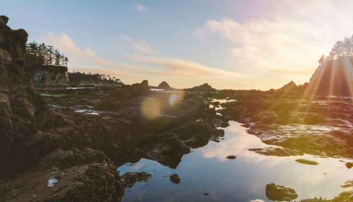 美国疫情最新节目：全面解读最新疫情动态